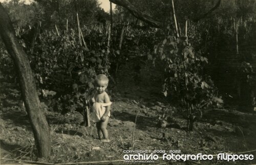 1952 Nino Ragno-14